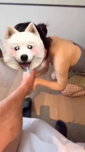 母狗舔脚灭烟